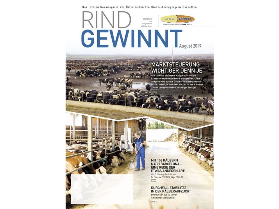rind-gewinnt-vorschaubild